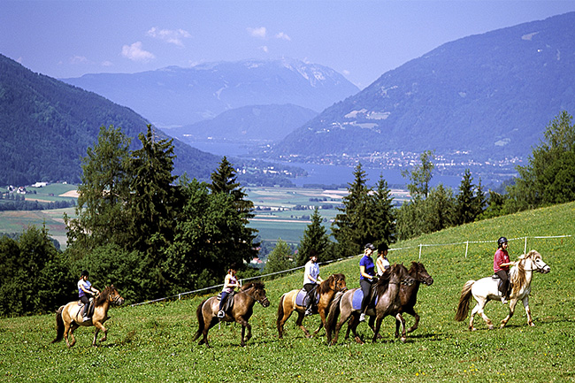 Isländer Reiterhof Köck