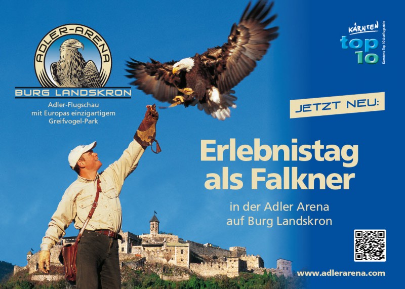 Falkner Erlebnistag auf Burg Landskron