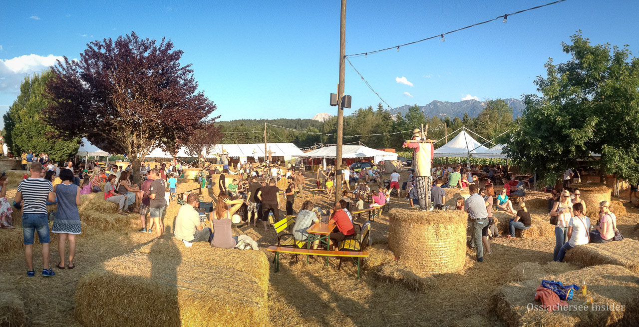 Ackern in Villach - das Fest im Sonnenblumenfeld